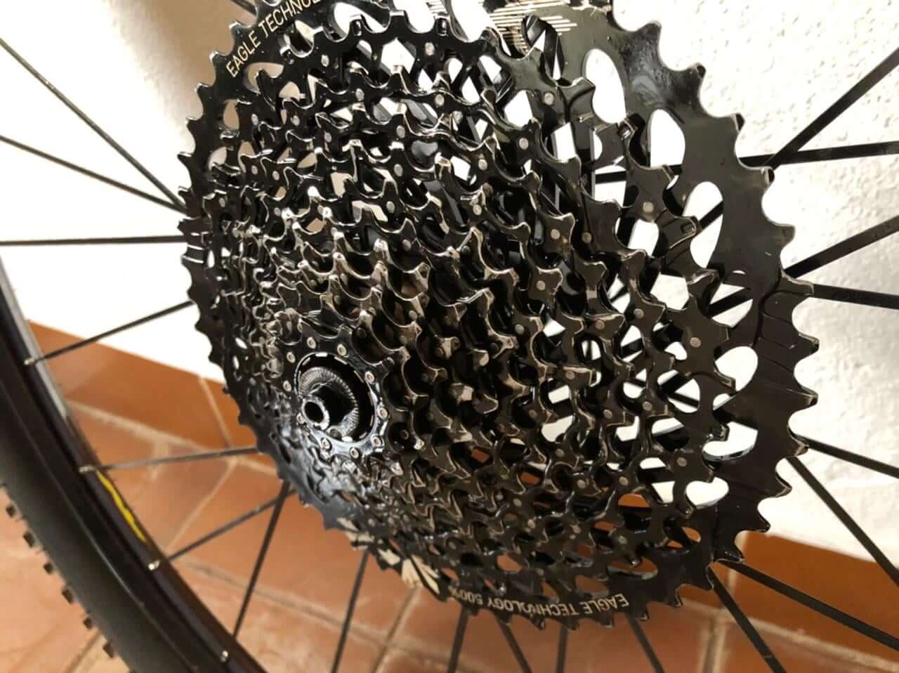 07
